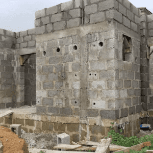 Building Carcass-1 500x500
